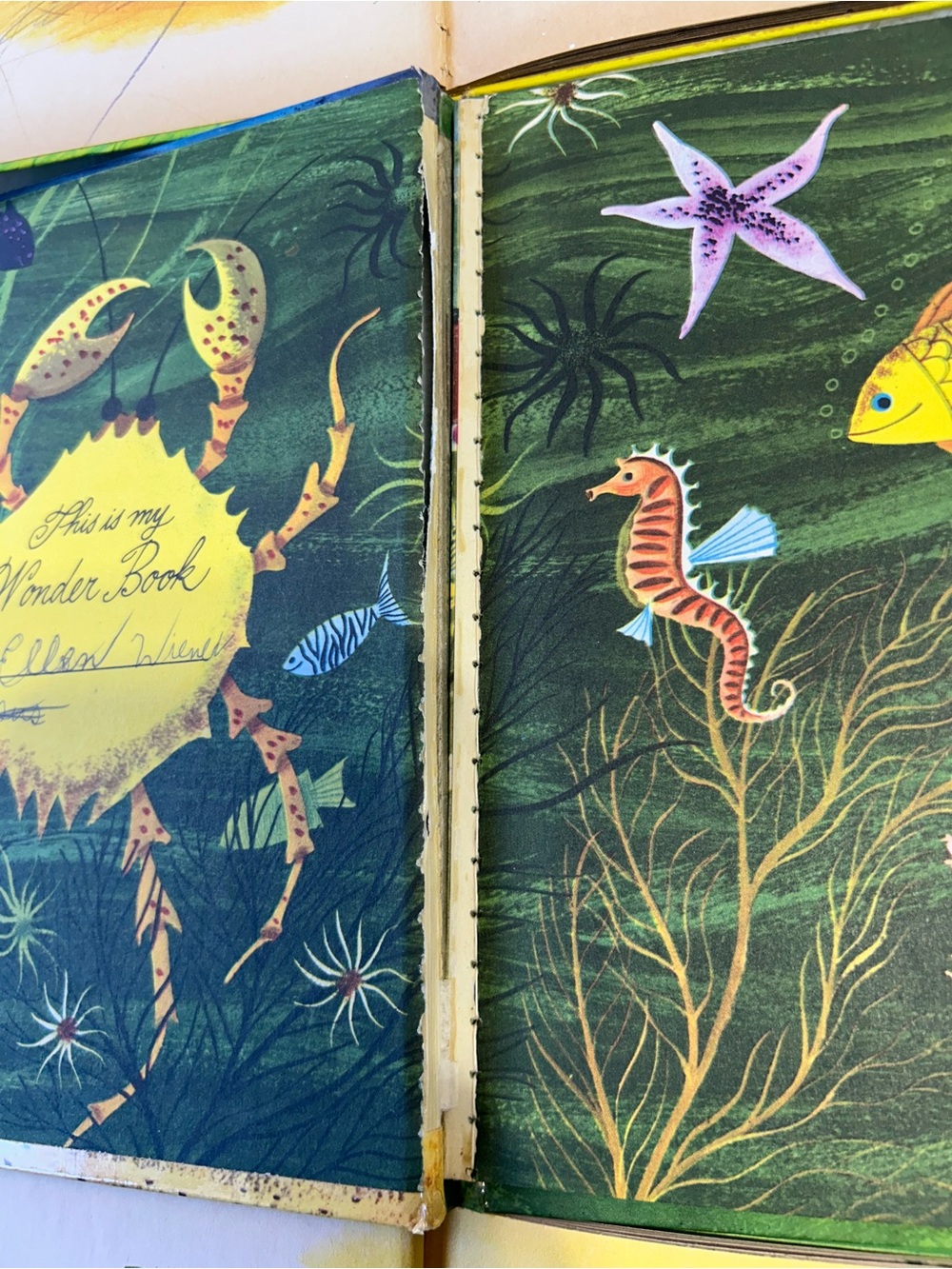 VINTAGE Wonder Books - Picture 4 of 4